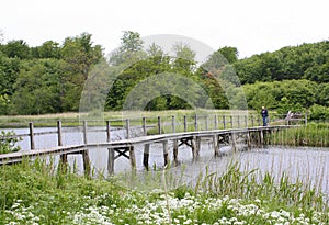 Tourist walks over a wooden bridge