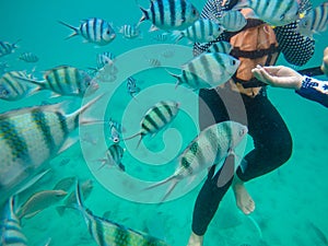 Tourist wear life jacket ,enjoy snorkeling in the sea,tourist and fish group in the sea,summer beach holiday at Koh Chang,Trat,