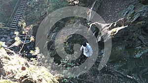 Tourist in white jacket crossing the stream in beautiful autumn forest. Footage. View from above
