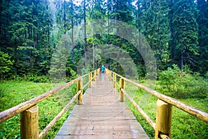 Tourist woman go by handmade wooden bridge in the middle of the forest across the river in rain in rain suitcase