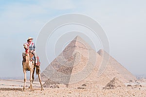 tourist woman riding a dromedary in front of pyramids. Egypt, Cairo - Giza