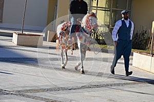 Touristenattraktion in Mardin Pferde traditionell geschmÃÂ¼ckt am 25.12.2021 um 14:14 Uhr