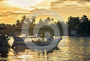 Touristic boats near Mirissa bay on the sunset.