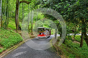 Touristic bus with tourists on excursion tour in botanical garden Georgia Batumi