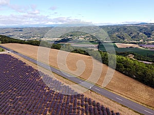 Touristic destination in South of France, aerial view on colorful lavender and lavandin fields in blossom in July on plateau