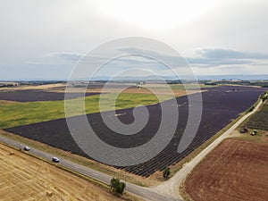 Touristic destination in South of France, aerial view on colorful lavender and lavandin fields in blossom in July on plateau