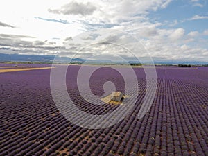 Touristic destination in South of France, aerial view on colorful lavender and lavandin fields in blossom in July on plateau