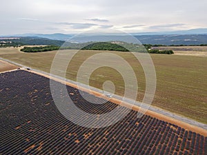 Touristic destination in South of France, aerial view on colorful lavender and lavandin fields in blossom in July on plateau