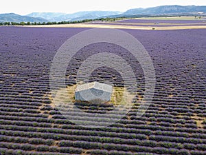 Touristic destination in South of France, aerial view on colorful lavender and lavandin fields in blossom in July on plateau