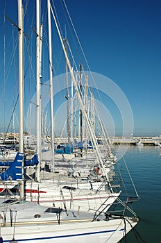 Touristic Harbour - Italy photo