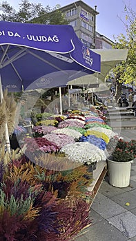 Touristic Kadikoy district with its narrow streets, modern and historical buildings of Istanbul