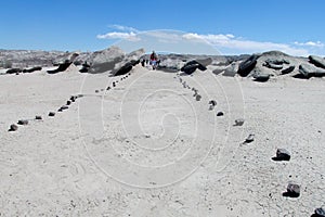 Touristic path in desert, Valle de la Luna