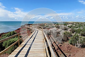 Touristic path in Punta Tomba coastal penguin park