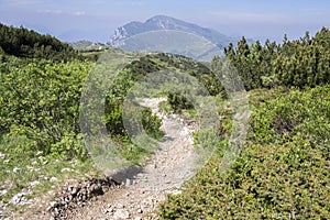 Touristic trail Alta Via del Monte Baldo, ridge way in Garda Mountains photo