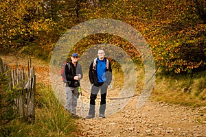 Tourists in autumn Beskidy mountains