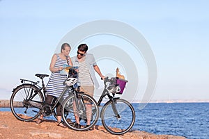 Tourists with bikes looking at map