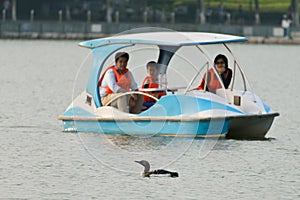 Tourists in a boat watching a bird