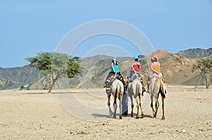 Tourists on camel