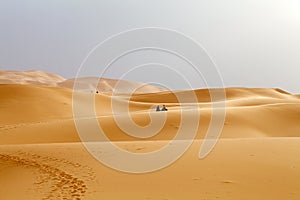 Tourists on the camels