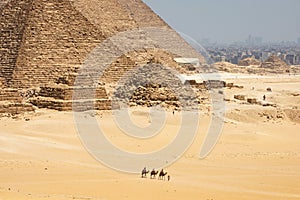 Tourists on camels are seeing Giza pyramids