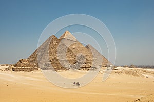 Tourists on camels are seeing Giza pyramids