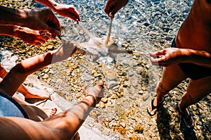 Tourists catch octopus