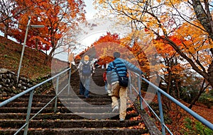 Tourists climbing the steps to the entrance of a park in Kyoto, with fiery maple trees along the staiway