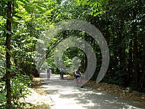 Tourists cycling on a road in Pulau Ubin, Singapore