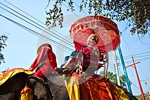 Tourists on an elefant ride