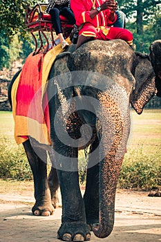 Tourists on an elefant ride around the Park in Ayutthaya,Thaila
