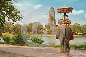 Tourists on an elephant ride tour