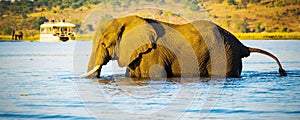 Tourists On Elephant Safari Africa