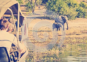 Tourists On Elephant Safari Africa