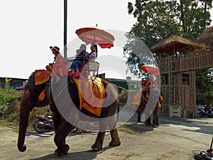 Tourists With an Elephant at Wat Chaiwatthanaram temple in Ayuthaya Historical Park, a UNESCO world heritage site in Thailand