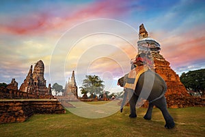 Tourists with an Elephant at Wat Chaiwatthanaram temple in Ayuthaya, Thailand