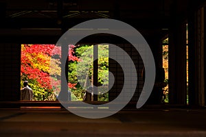 Tourists enjoy autumn at Nanzen-ji, Kyoto