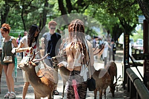 Tourists enjoy the cookies with deer on sideway.