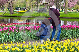 Tourists enjoy taking pictures of tulips at Keukenhof garden par