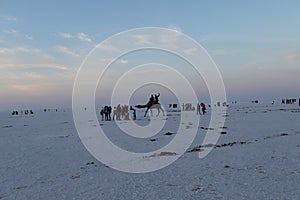 Tourists enjoying evening at Rann of Kutch festival - Rann utsav - white desert - Gujarat tourism - India travel