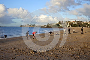 Tourists enjoying Mission Bay in Auckland New Zealand