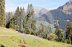 Tourists enjoying panoramatic views of Jungfrau Region near Gruetschalp photo