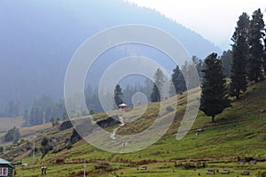 Tourists enjoying their holiday in Aru Valley, Pahalgam, Kashmir, India