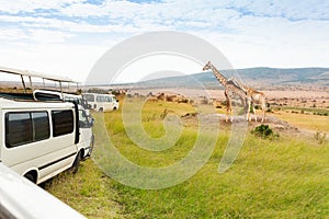 Tourists on game drive taking pictures of giraffe