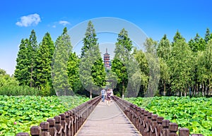 Tourists go to Jinshan Temple
