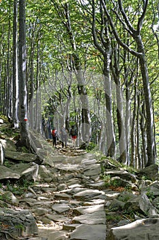 Tourists hiking footpath in the woods of Lagdei, National park Appennino Tosco-Emiliano, Emilia-Romagna, Italy photo