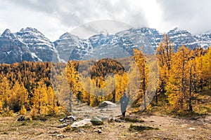 Tourists hiking in Larch Valley. Banff National Park, Canadian Rockies, Alberta, Canada.