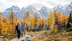 Tourists hiking in Larch Valley. Banff National Park, Canadian Rockies, Alberta, Canada.