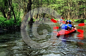 Tourists kayaking on river in the forest