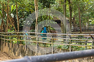 tourists and locals at the Zoo malacca, malaysia