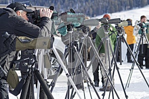 Tourists observe wolf in Yellowstone Park